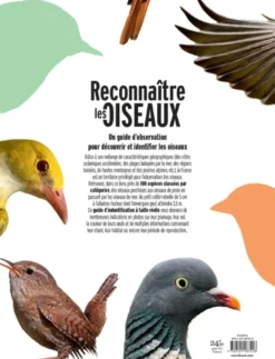 Reconnaître les oiseaux