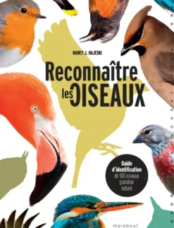 Reconnaître les oiseaux