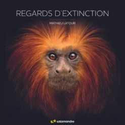 Regards d'extinction