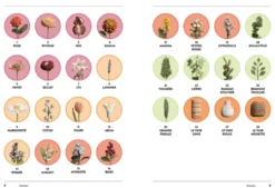 Renaturer son jardin