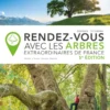 Rendez-Vous Avec Les Arbres