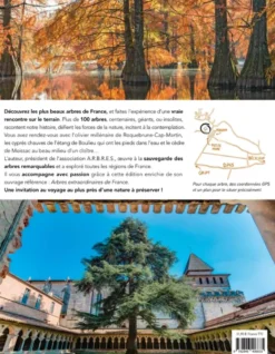Rendez-Vous Avec Les Arbres