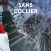 Sans collier