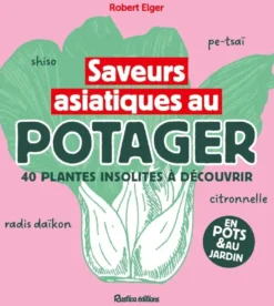 Saveurs asiatiques au potager