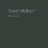 Scott Walker - Chronique d'une obsession