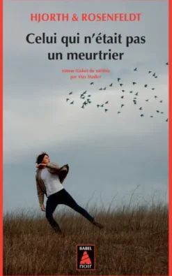 Sebastian BergmanCelui qui n'était pas un meurtrier