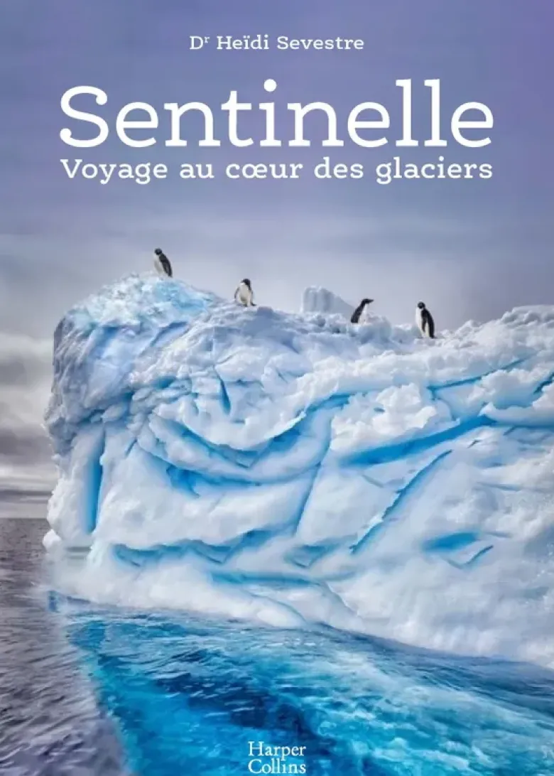 Sentinelle,voyage au coeur des glaciers