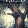 Sorceleur (Witcher) PocheSorceleur (Witcher) - Poche, T2 : L'Épée de la providence (traduction révisée)