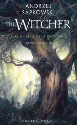 Sorceleur (Witcher) PocheSorceleur (Witcher) - Poche, T2 : L'Épée de la providence (traduction révisée)
