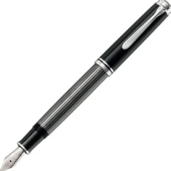 Stylo Plume F M805 Stresemann