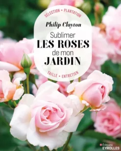 Sublimer les roses de mon jardin