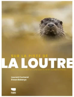 Sur la piste de la Loutre
