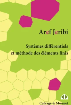 Systèmes différentiels et méthode des éléments finis