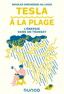 Tesla à la plage