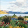 The Coastal garden