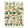 Tirage - Fruits