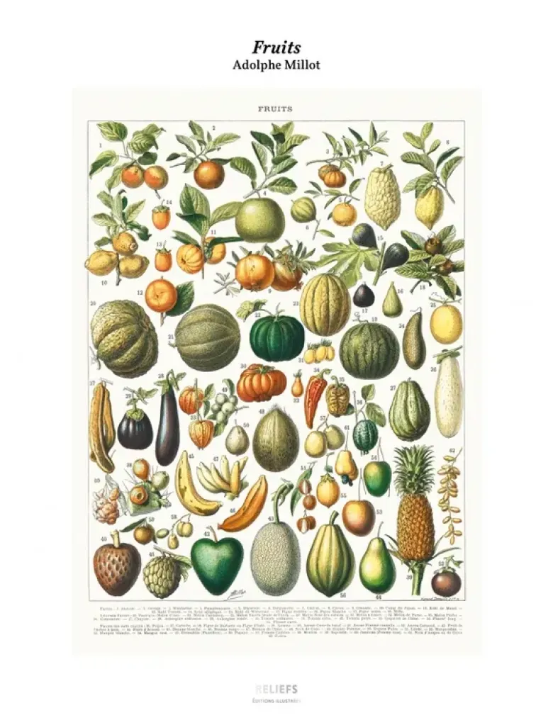 Tirage - Fruits