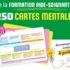 Toute la formation aide-soignante en 250 cartes mentales
