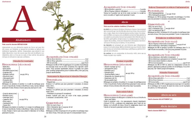 Toute l'herboristerie