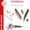 Traces et indices d'oiseaux