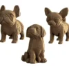 Trio de Chiots
