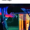 Un Animal Sauvage