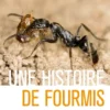 Une histoire de fourmis