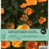Un jardin fleuri toute l'année