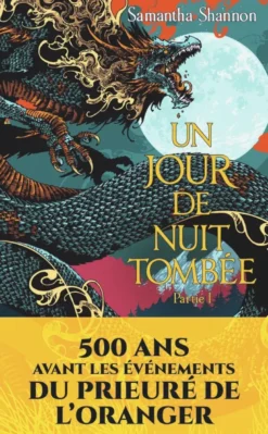 Un jour de nuit tombée