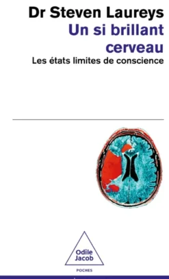 Un Si Brillant Cerveau
