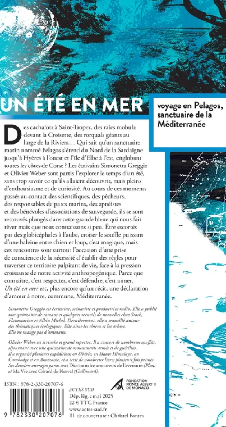 Un été en mer