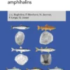 Utilisations des écailles chez les poissons migrateurs amphihalins