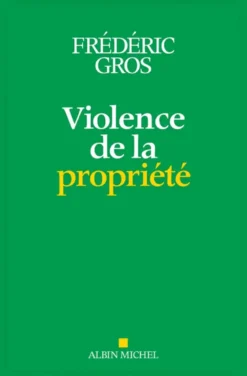 Violence de la propriété