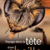 Voyage dans la tête d'une abeille