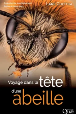 Voyage dans la tête d'une abeille