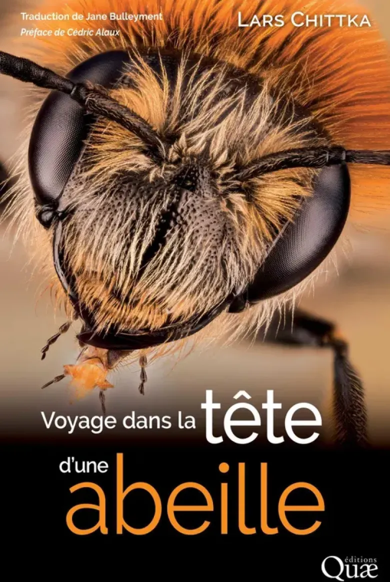 Voyage dans la tête d'une abeille