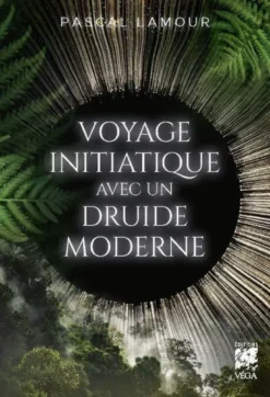 Voyage initiatique du druide moderne