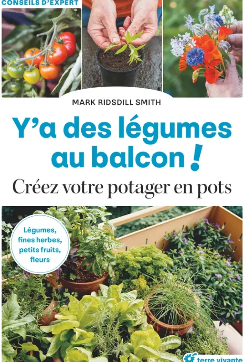 Y'a des légumes au balcon !